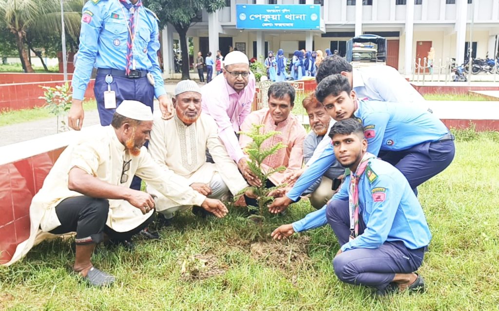 পেকুয়ায় ধরার আয়োজনে বৃক্ষ রোপন ও চারা বিতরণ অনুষ্ঠান